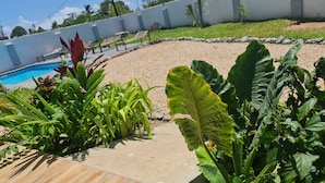 Zona de piscina con terraza de madera, sendero de concreto y diversas plantas tropicales.