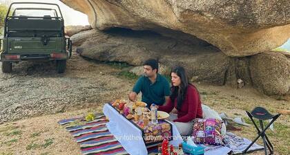 An Experience in wild