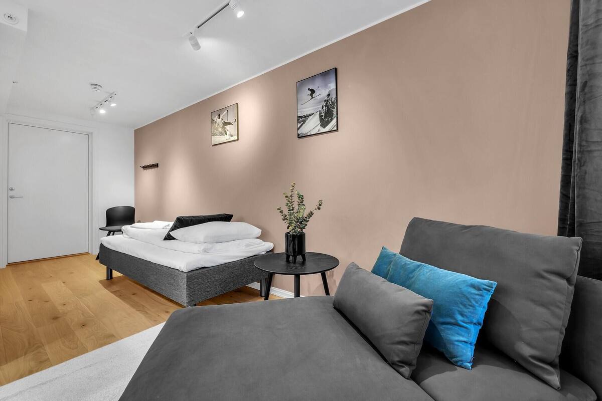 Iron/ironing board, WiFi (free), bed sheets