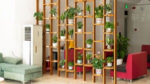 Zona de recepción con un arreglo de plantas de madera, un sofá rojo, un sofá verde y un equipo de aire acondicionado blanco.