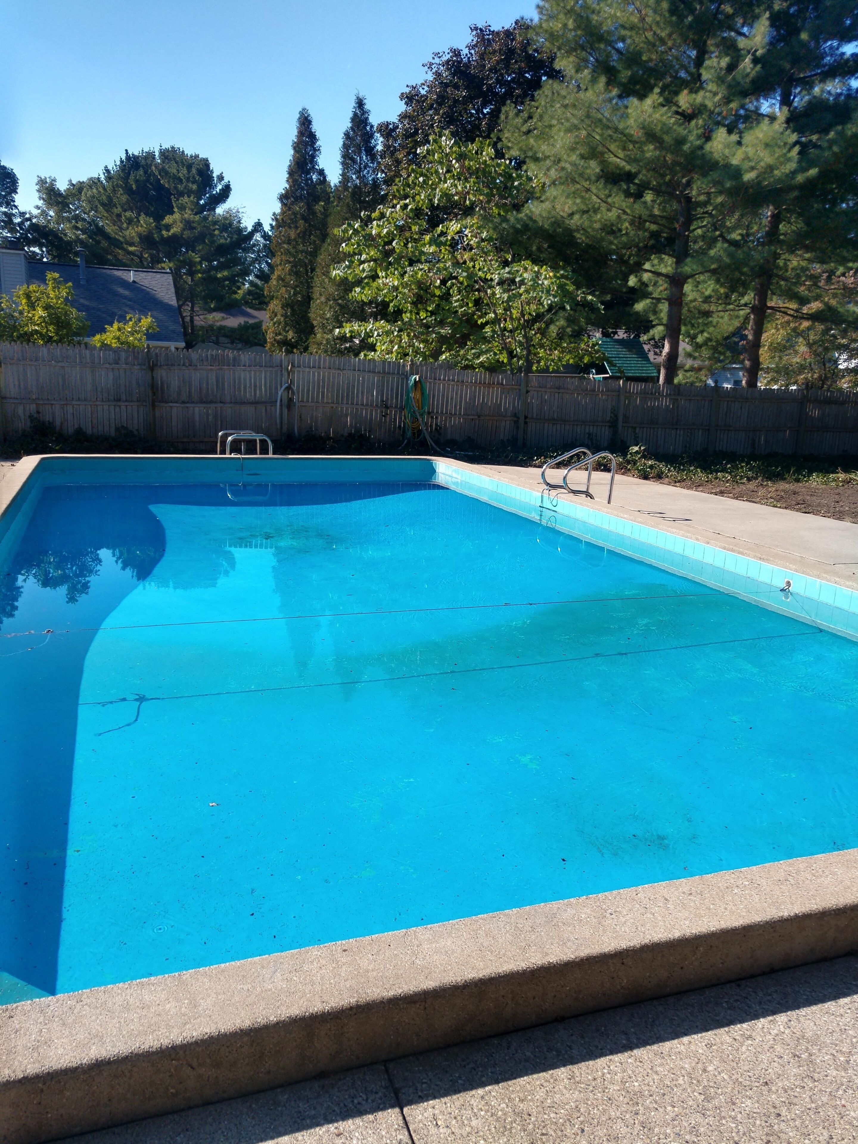 Swimming pool with tree reflection 