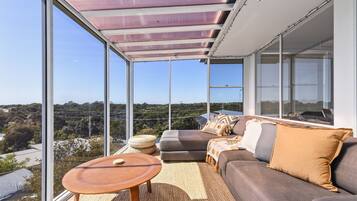 Smart TV, fireplace, table tennis, books