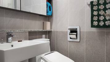 Combined shower/tub, hair dryer, bidet, towels