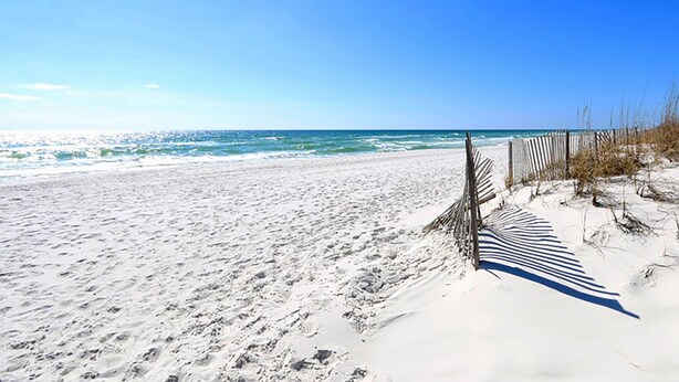 A sandy beach with a wooden fence and sparse vegetation.