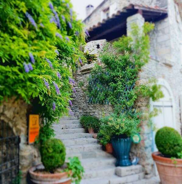 Property grounds - Spa suite in Mas demeure provençale swimming pool & spa (Forcalquier)