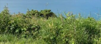 Fabulous apartment for 2 in Llansteffan