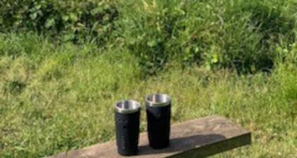 Fabulous apartment for 2 in Llansteffan