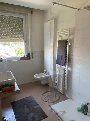 Regadera, secadora de cabello, bidet, toallas 
