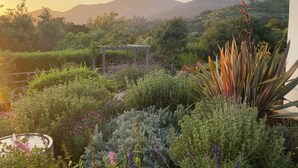 A garden with a pergola, various plants, and a view of mountains in the background. - Montecito - Ocean and Mountain Views - Total Renovation Completed! (Montecito)