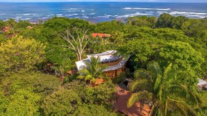 Una casa rodeada de densa vegetación tropical, con vista al océano al fondo.