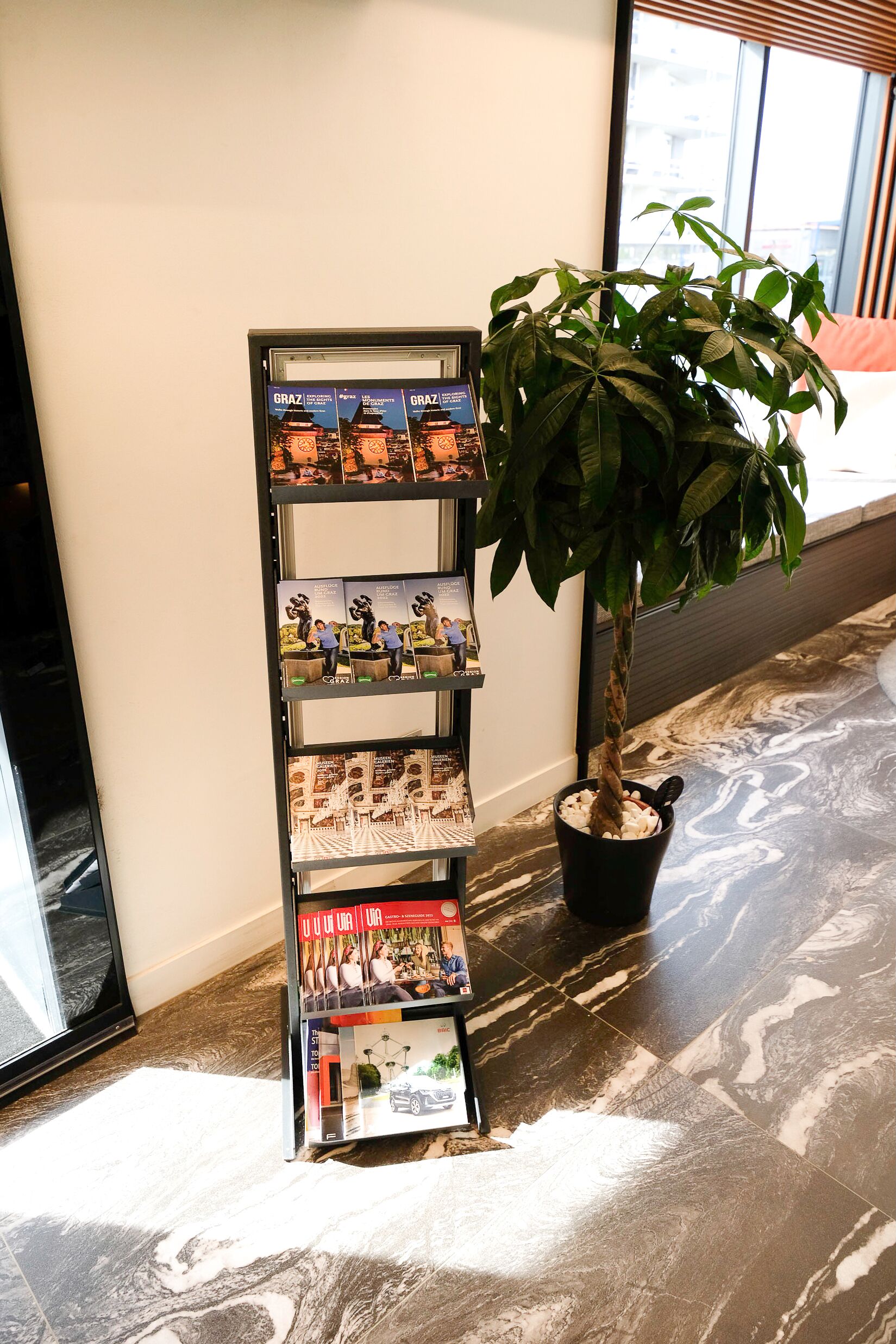 Un présentoir avec des magazines et une plante en pot.