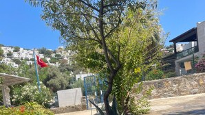 A garden with a tree, rocks, and a flag. - Ayci Otel (Bodrum)