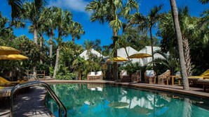 A pool with clear blue water, surrounded by palm trees and lounge chairs under yellow umbrellas. - Impeccable 1-bed Cottage (St. Barthelemy)
