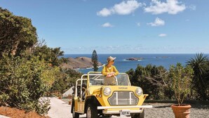 A yellow vintage car parked on a gravel path with a person in a yellow outfit and straw hat. - Impeccable 1-bed Cottage (St. Barthelemy)
