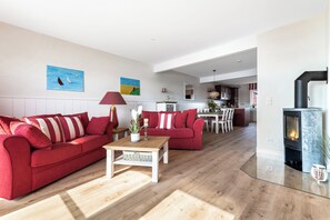 电视、壁炉、立体声音响