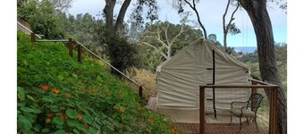 Glamping Wetlands Overlook