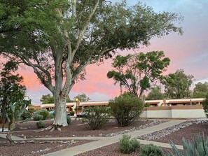 المنطقة المحيطة بالمنشأة