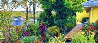 Limetree villa