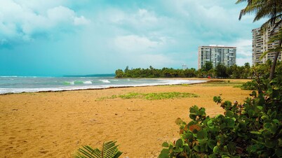 A jewel in the beach