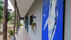 Terrace/patio - Orange Tree House (Valladolid)