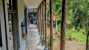 Terrace/patio - Orange Tree House (Valladolid)