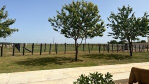 Un espacio al aire libre rodeado por una cerca, con árboles y un sendero de concreto.
