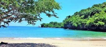 Magical Ocean Views in a 1 bedroom Jungle Paradise! Long term stays welcome!