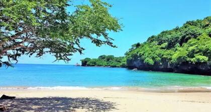 Magical Ocean Views in a 1 bedroom Jungle Paradise! Long term stays welcome!