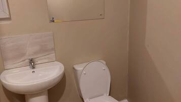 Combined shower/bathtub, free toiletries, hair dryer, towels