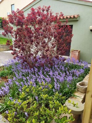 Property grounds - Apartments Tea Medulin - Bungalow (Medulin)