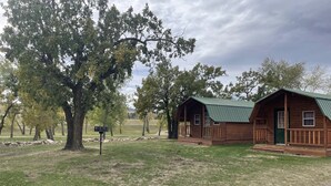 A rustic cabin with a green roof, surrounded by trees and a grassy field. - Blackhills Cabin 2 Twin Beds in Sturgis, SD.Close to Downtown, Deadwood, Spearfish and Mt. Rushmore (Sturgis)