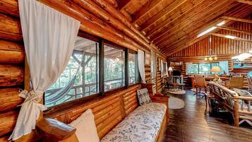 TV, fireplace, books