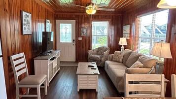 Smart TV, DVD player, books, video library