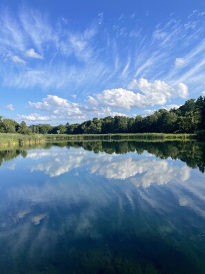 Un lac paisible aux eaux claires, où le ciel et les arbres se reflètent, entouré d’une végétation luxuriante.