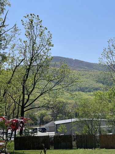 Black Mt home, minutes to downtown, fenced yard