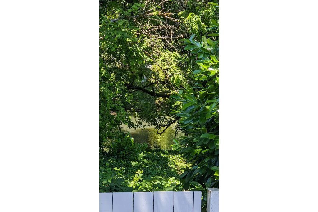 Un étang paisible, entouré d’une végétation luxuriante et bordé d’une clôture blanche.