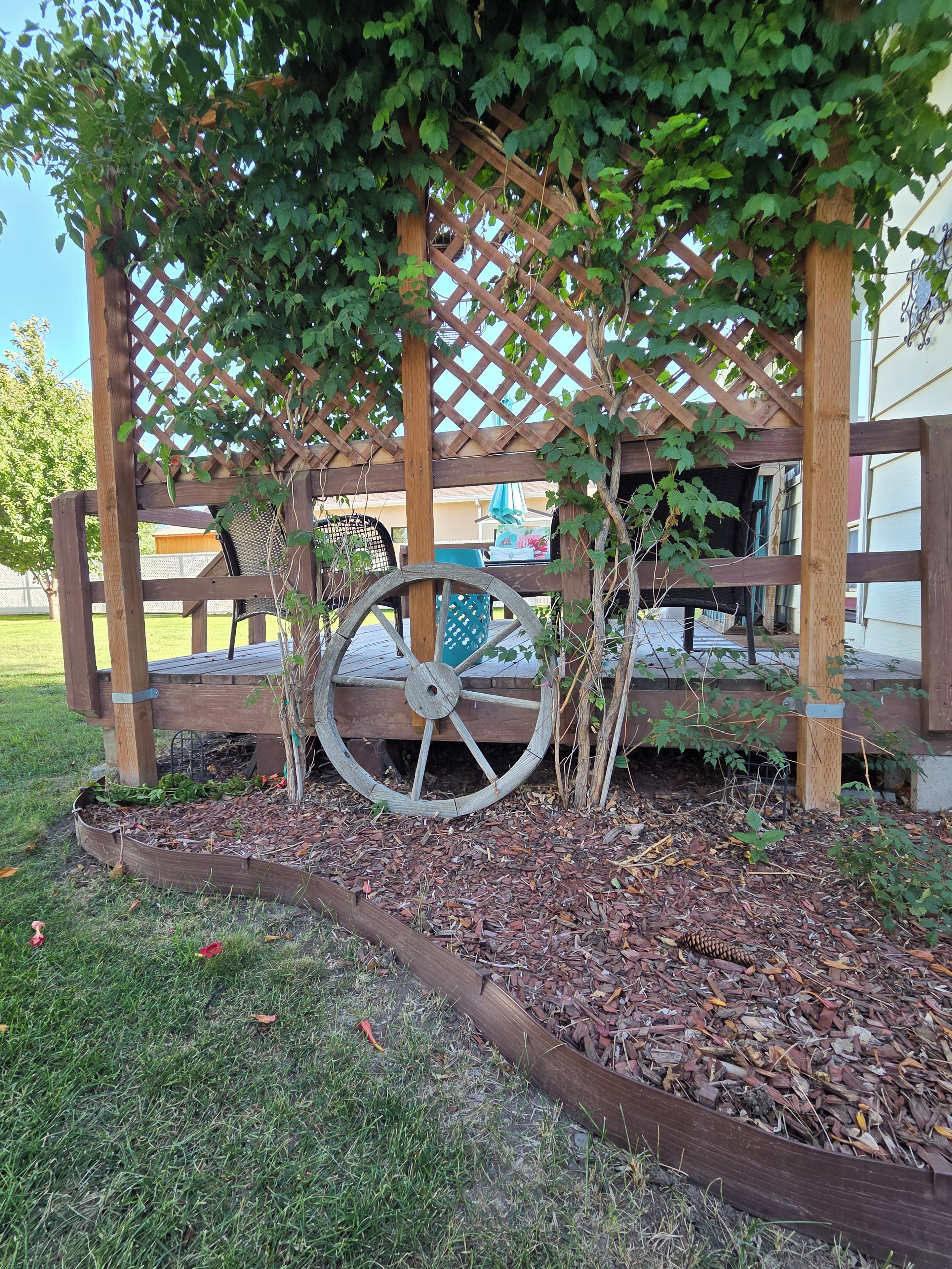A wooden pergola with a large wheel structure underneath, surrounded by mulch and grass.