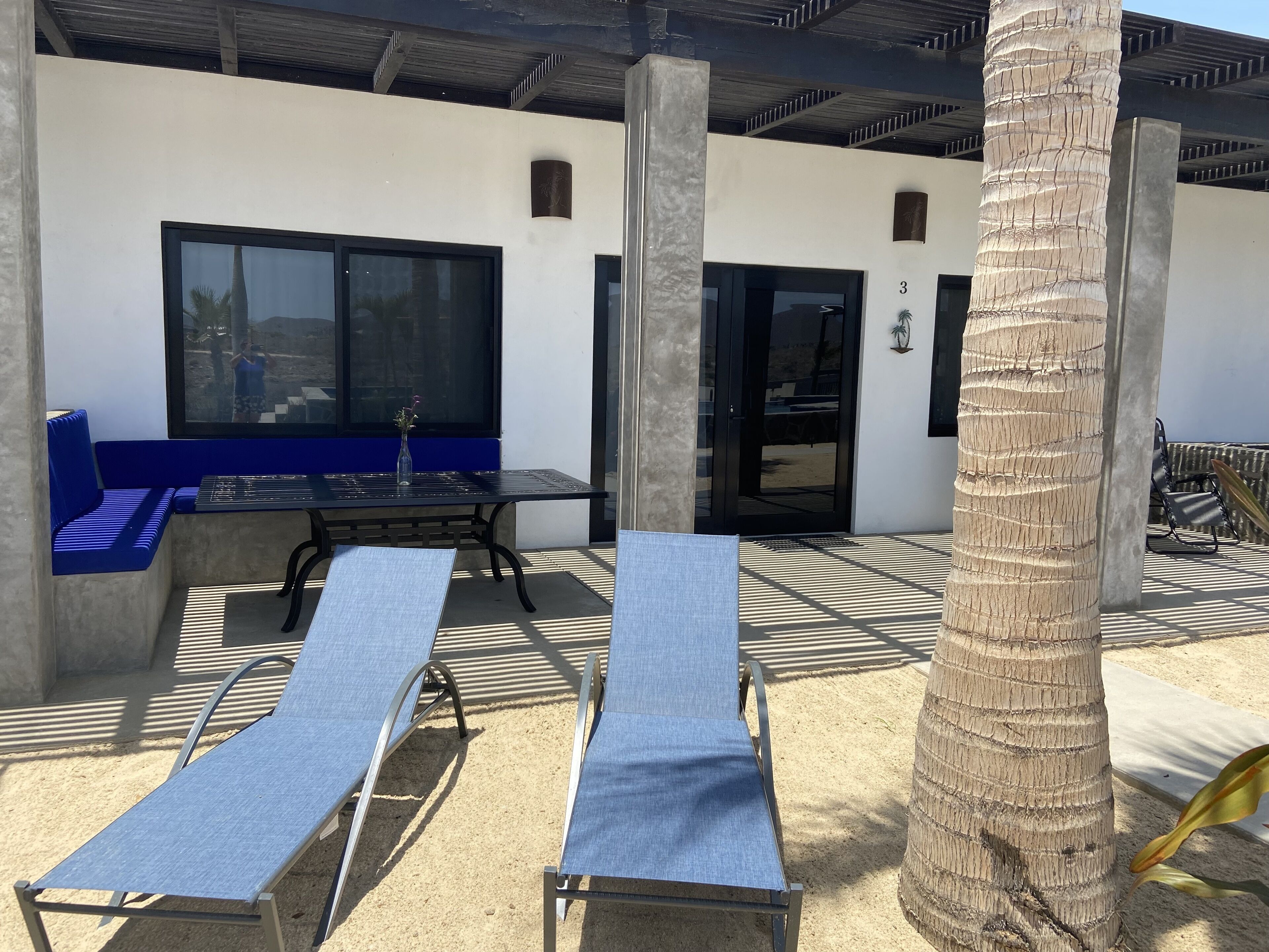 Un espacio al aire libre moderno con bancos acolchados azules y sillones de metal, un pilar de hormigón y una palmera.