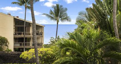 Fabulous, Spacious Oceanview 3 Bedroom Condo with A/C!