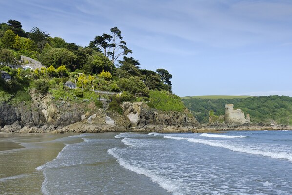 Beach nearby - Waders (Salcombe)