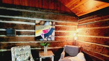 Télévision, cheminée, lecteur de DVD