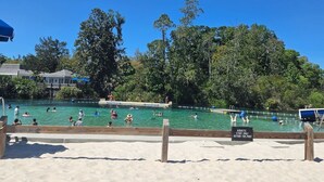 Una playa con piscina, rodeada de árboles y una cerca de madera.