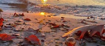 Rustic Riverside Charm and Exclusive Fishing Access!