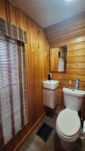 Badewanne, Haartrockner, Handtücher, Seife