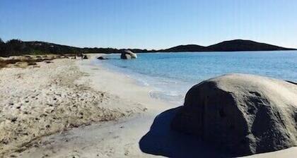 T2 Avec Piscine a 2 km de la Plage de Saint -cyprien