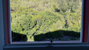 A window with a clear view of a mountainous landscape.