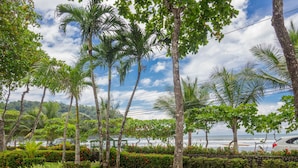 Ein tropischer Garten mit Palmen und Blick auf den Ozean.