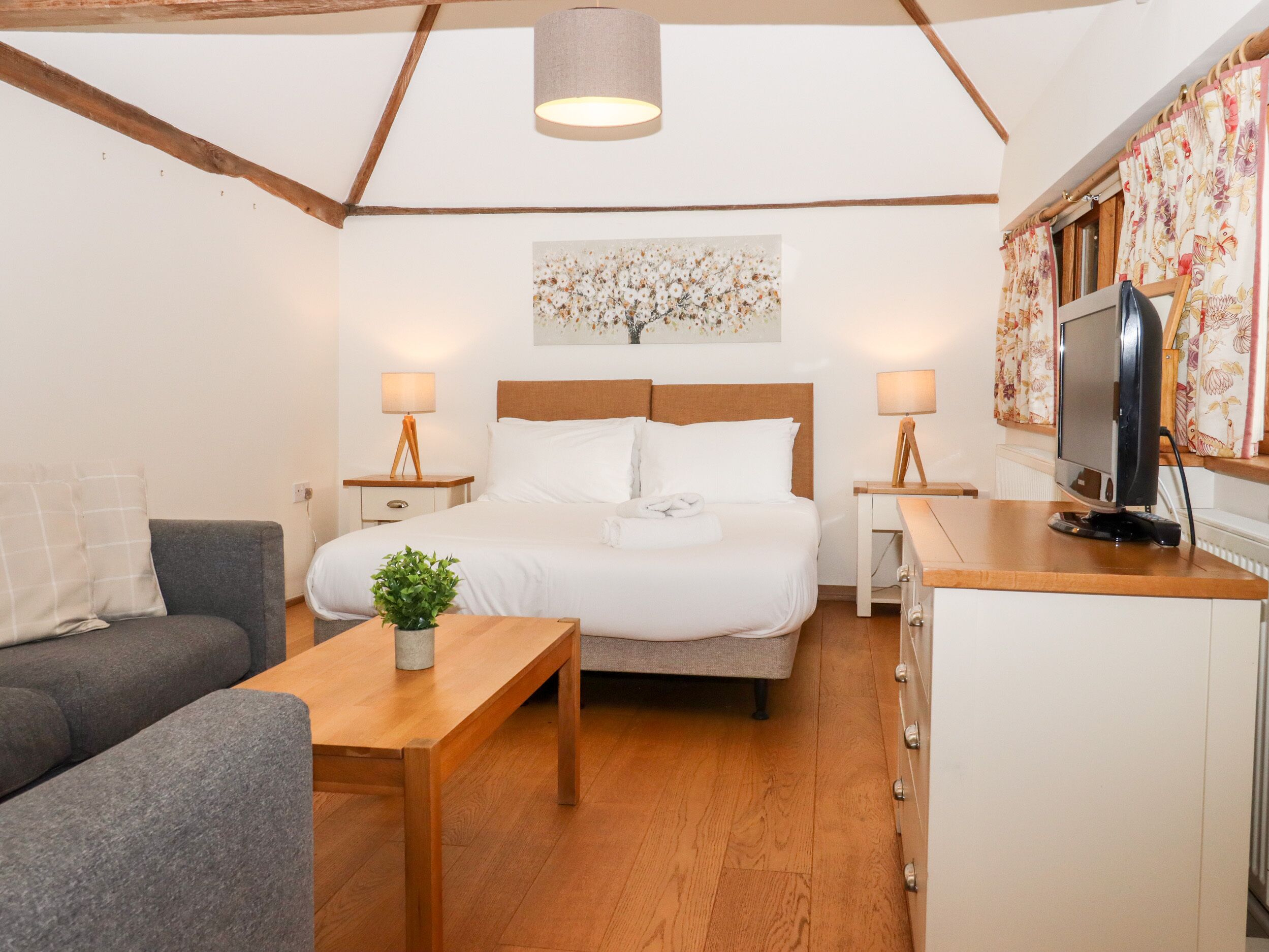 Un dormitorio con una cama, mesitas de noche, un escritorio, un televisor y una planta.