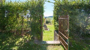 An open gate leading to a grassy area with trees on either side. - Pet friendly home in Monchio delle Olle (Monchio delle Olle)