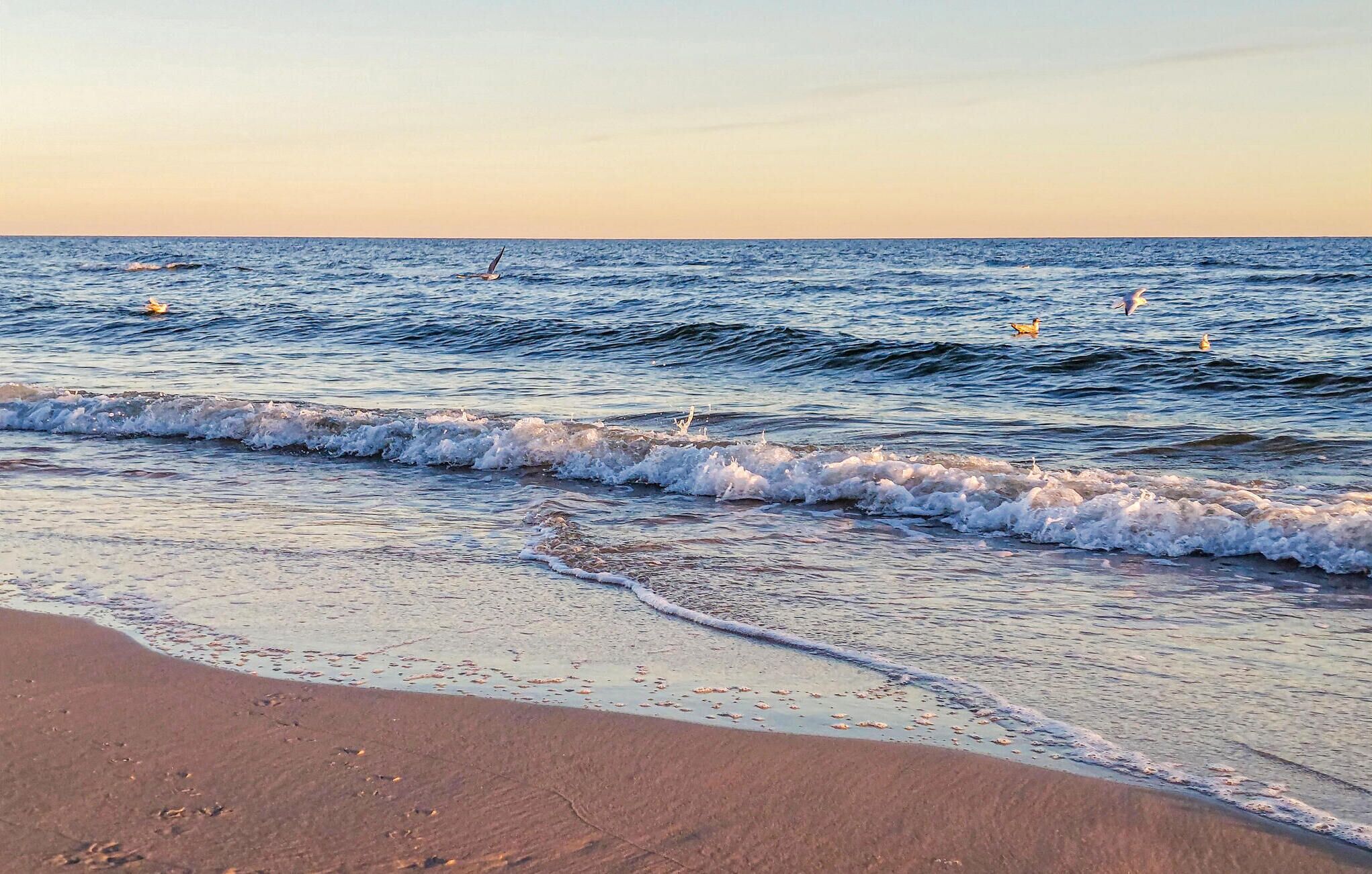 Playa en los alrededores 